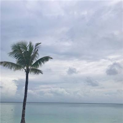 人民网评：凝聚各方力量，为未成年人撑起法治蓝天